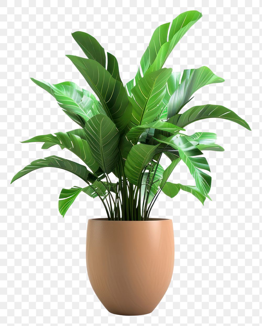 PNG Potted plant vase leaf houseplant.