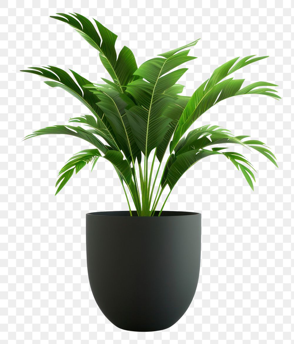 PNG Potted plant leaf vase white background.