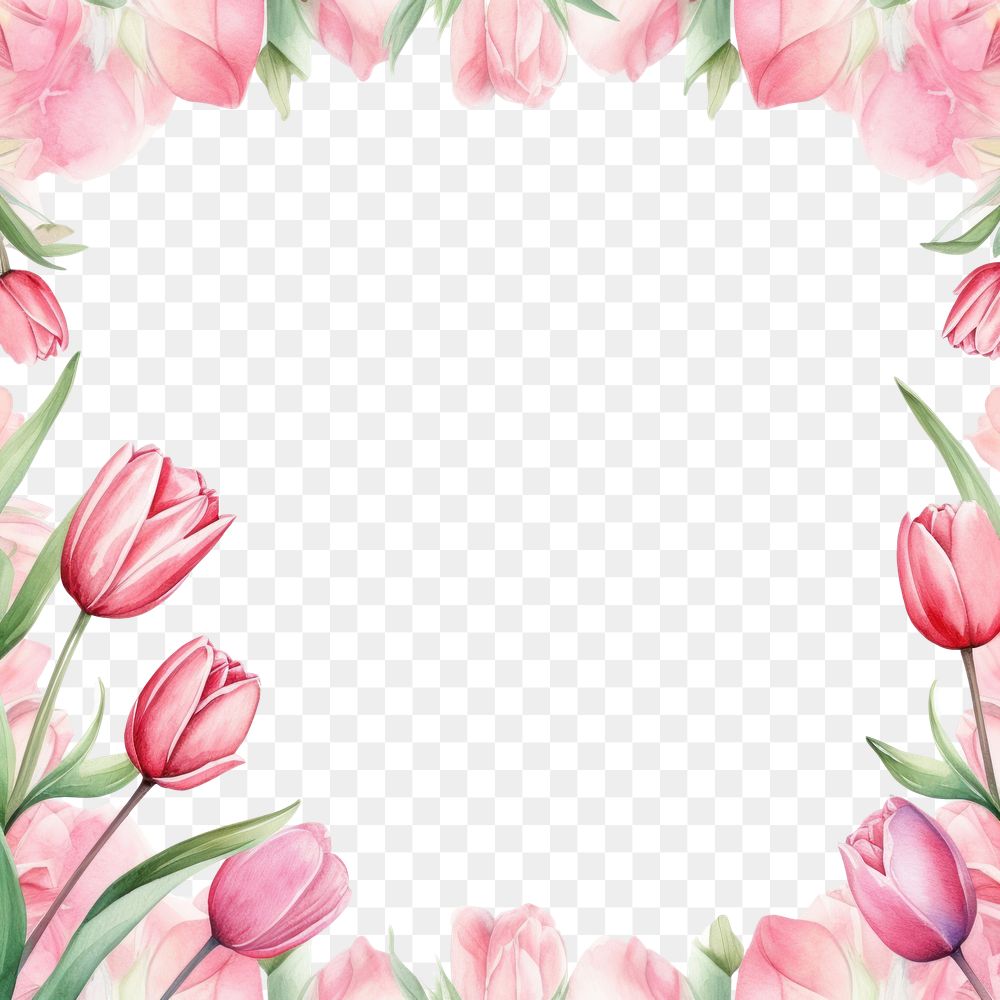PNG  Tulip frame watercolor backgrounds pattern flower.