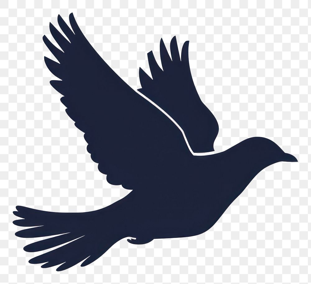 PNG A bird flying silhouette animal blackbird.