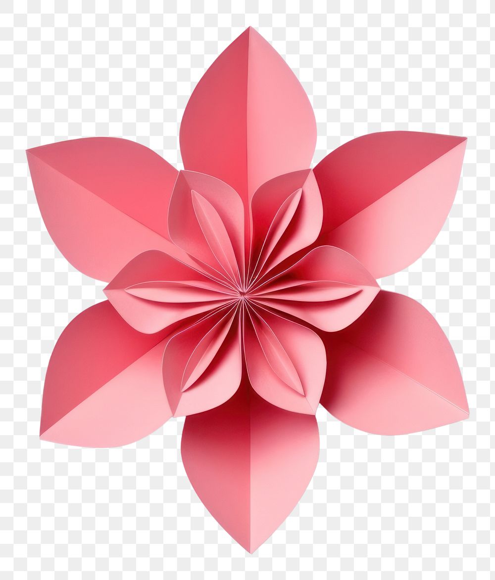 PNG Multi color floral origami paper flower.