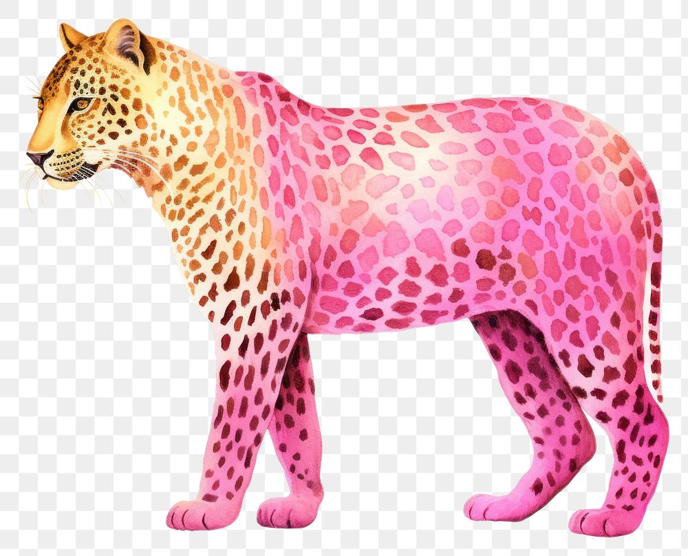 PNG Pink neon leopard wildlife mammal animal.