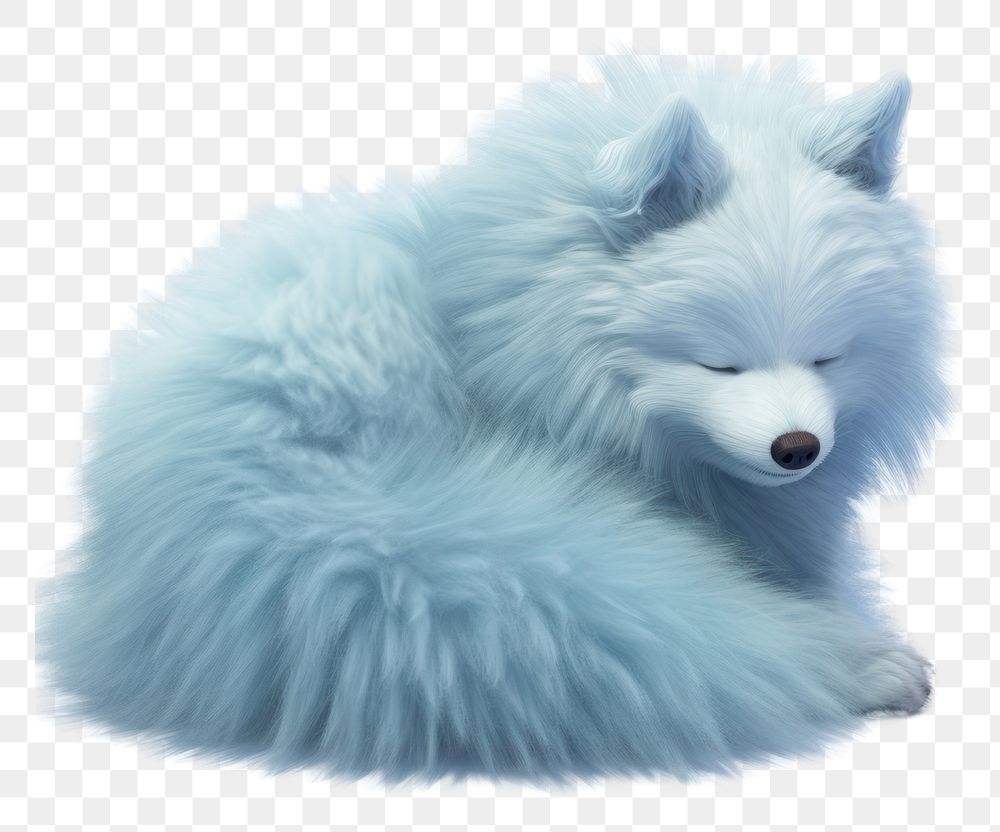 PNG Fluffy blue dog sleep mammal animal white.