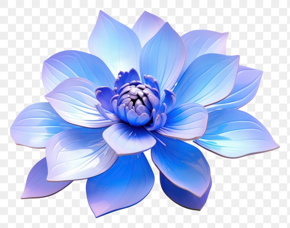 PNG Blue flower dahlia plant blue.