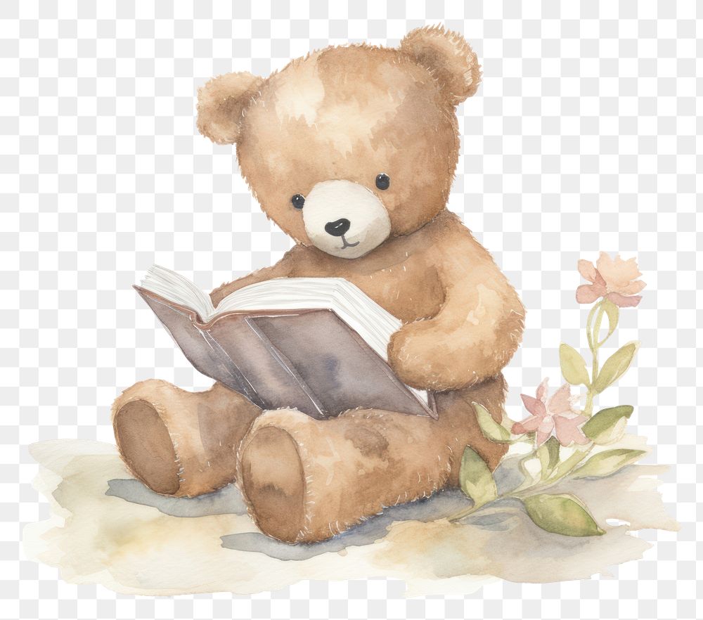 PNG  Teddy bear book cute toy
