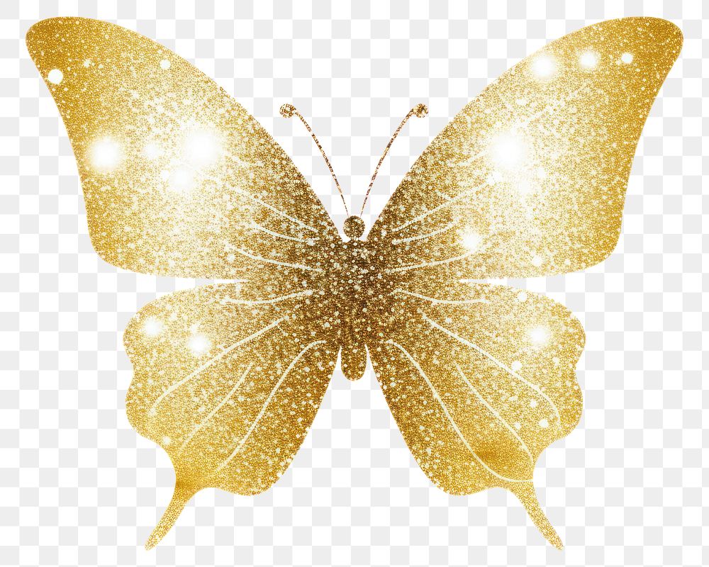 PNG Butterfly glitter of butterfly icon animal white background celebration.