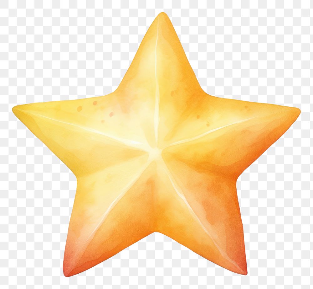 PNG Star symbol echinoderm starfish