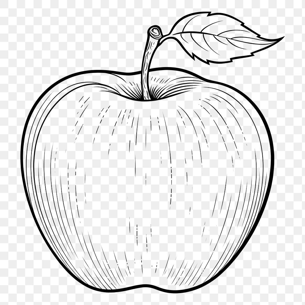 PNG Apple sketch apple drawing.