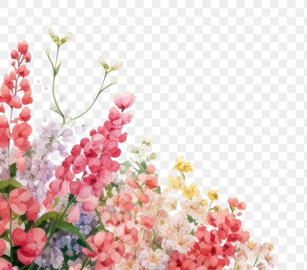 PNG  Flower backgrounds nature spring