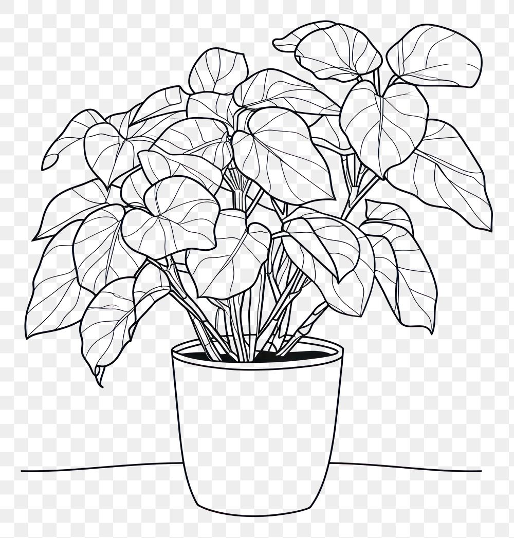 PNG Minimal line houseplant drawing sketch doodle.