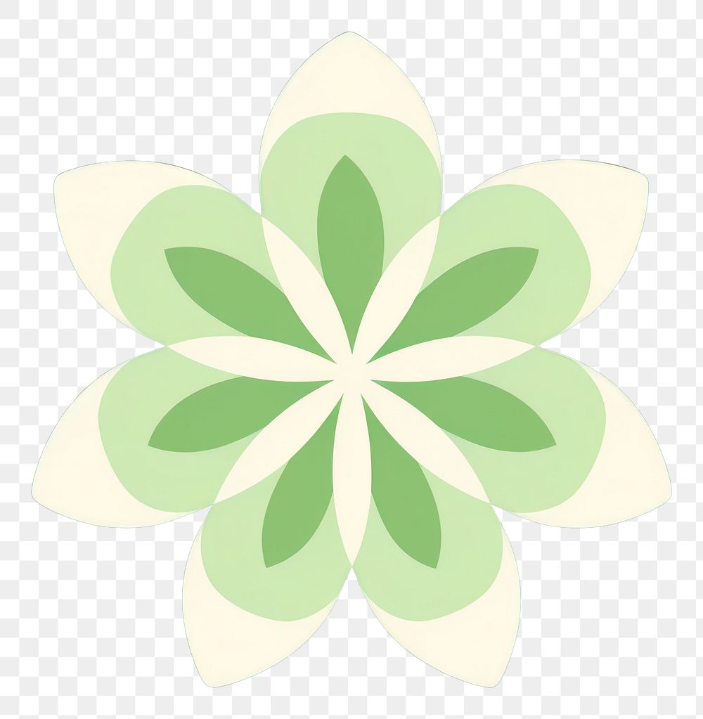 PNG Flower petal green pattern shape.