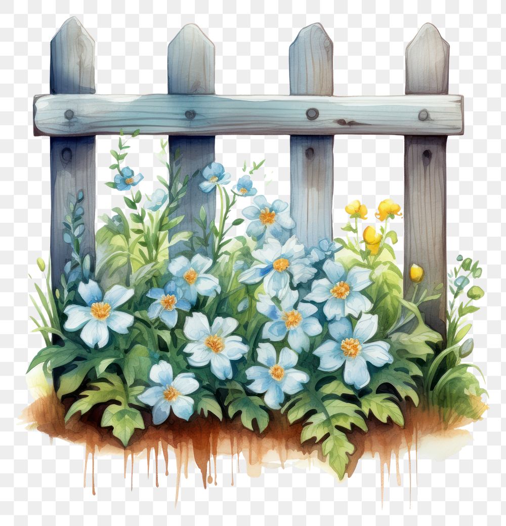 PNG Watercolor botanical on fence outdoors flower nature