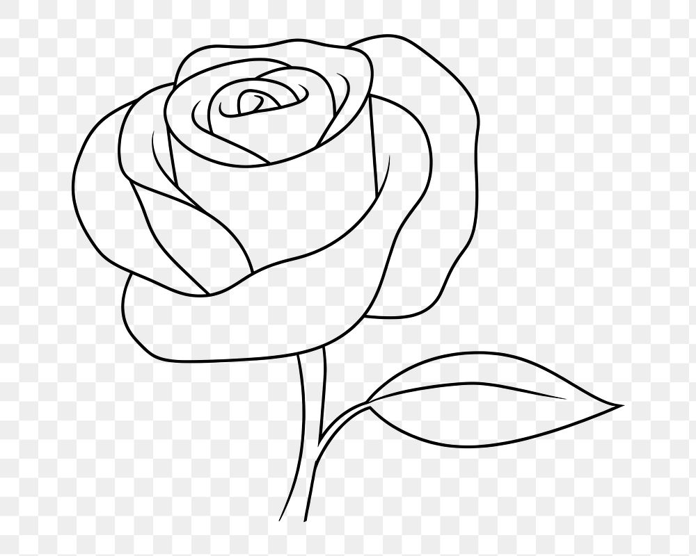 PNG Rose drawing cartoon sketch. | Free PNG - rawpixel