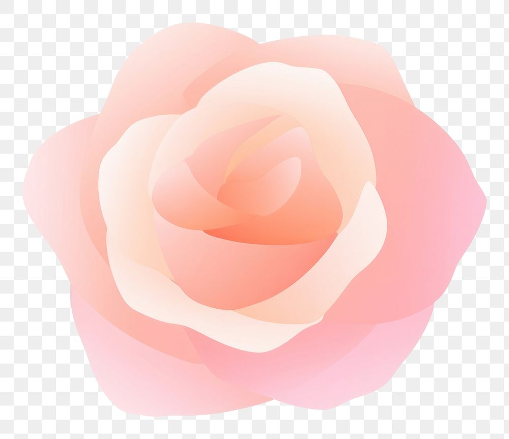 PNG Gradient border rose flower shape petal.