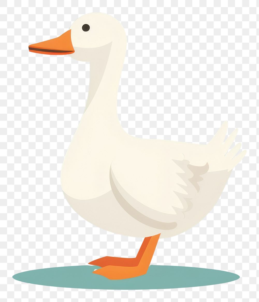 PNG Duck animal cartoon goose.