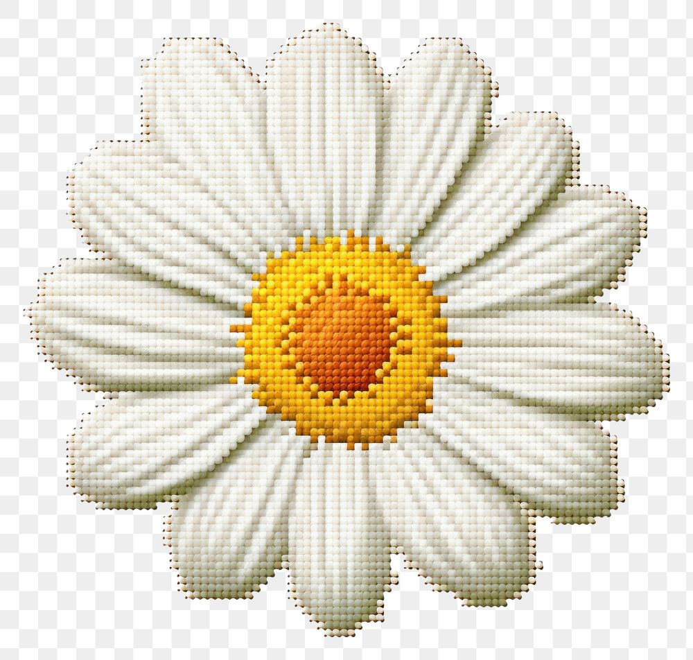 PNG  Cross stitch daisy flower petal plant.