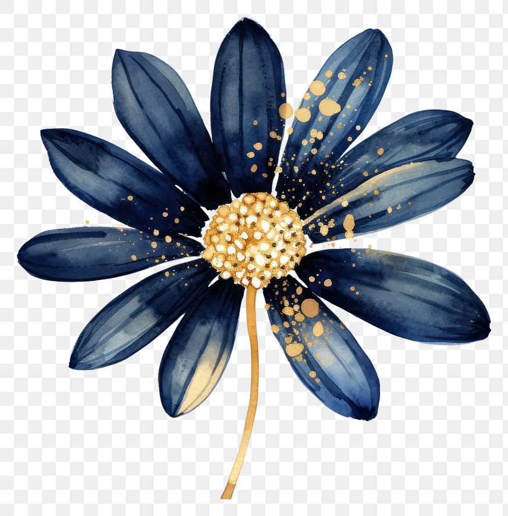 PNG Indigo daisy flower brooch petal.
