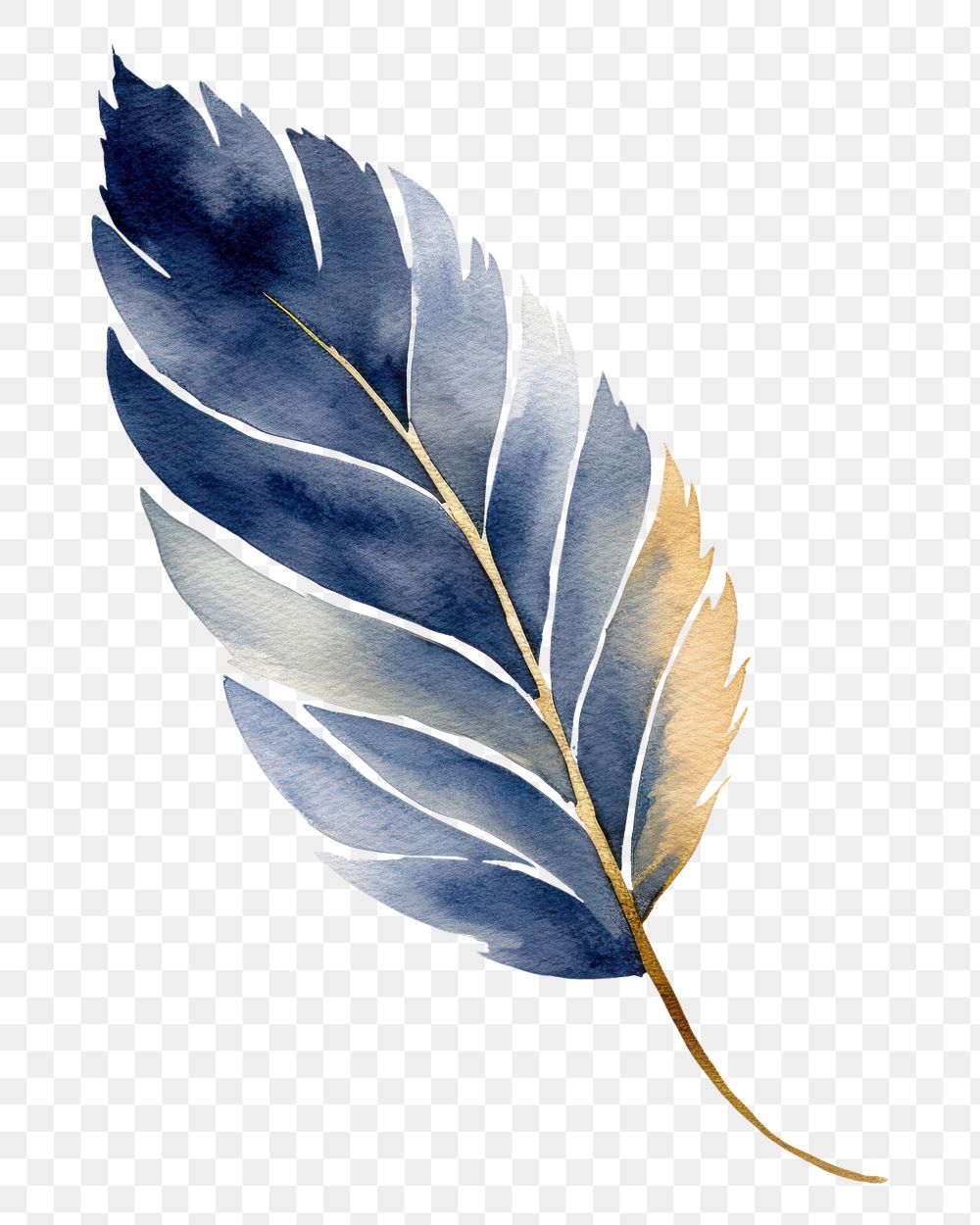 PNG Indigo leaf plant white background accessories.