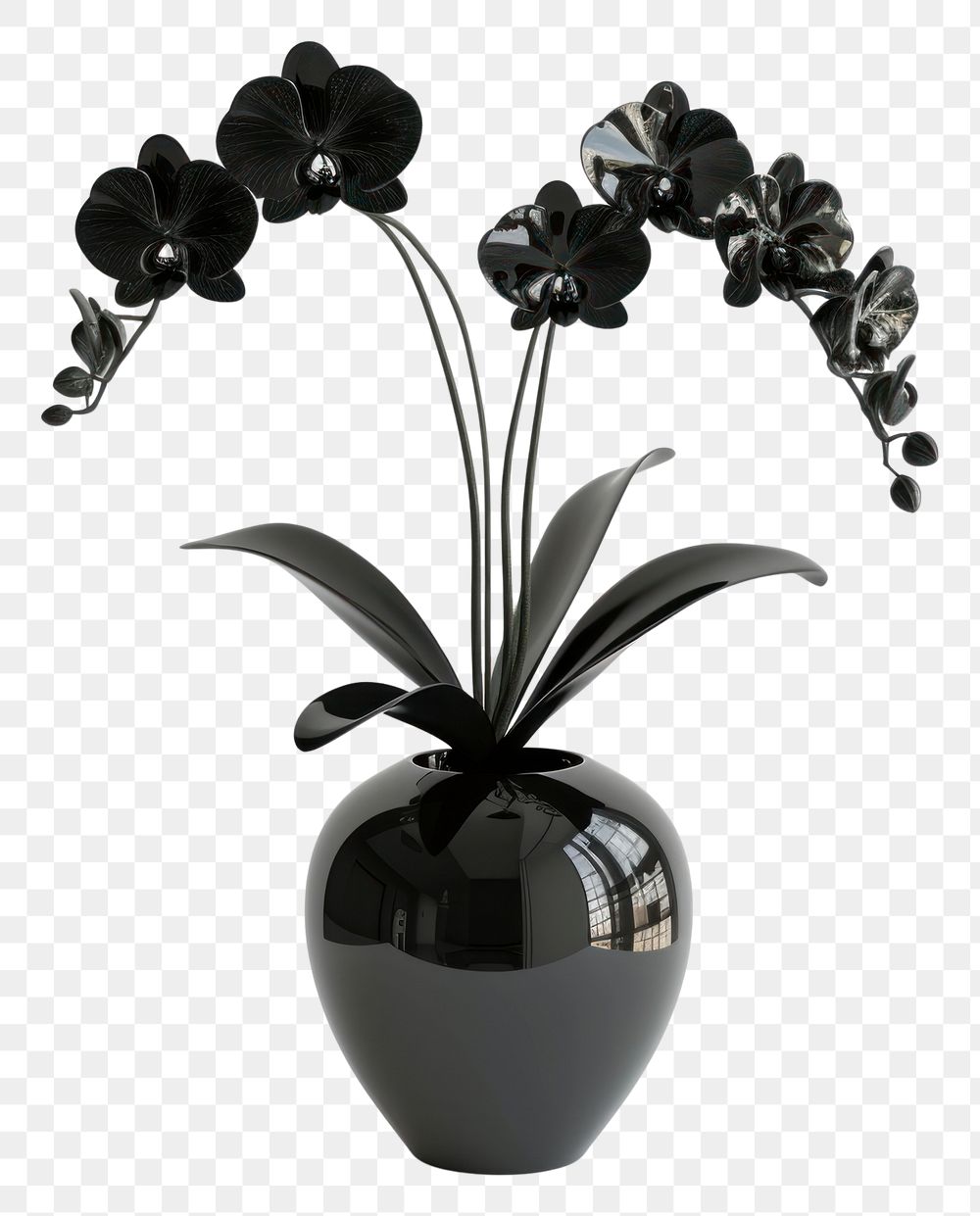 PNG Orchid flower plant black.