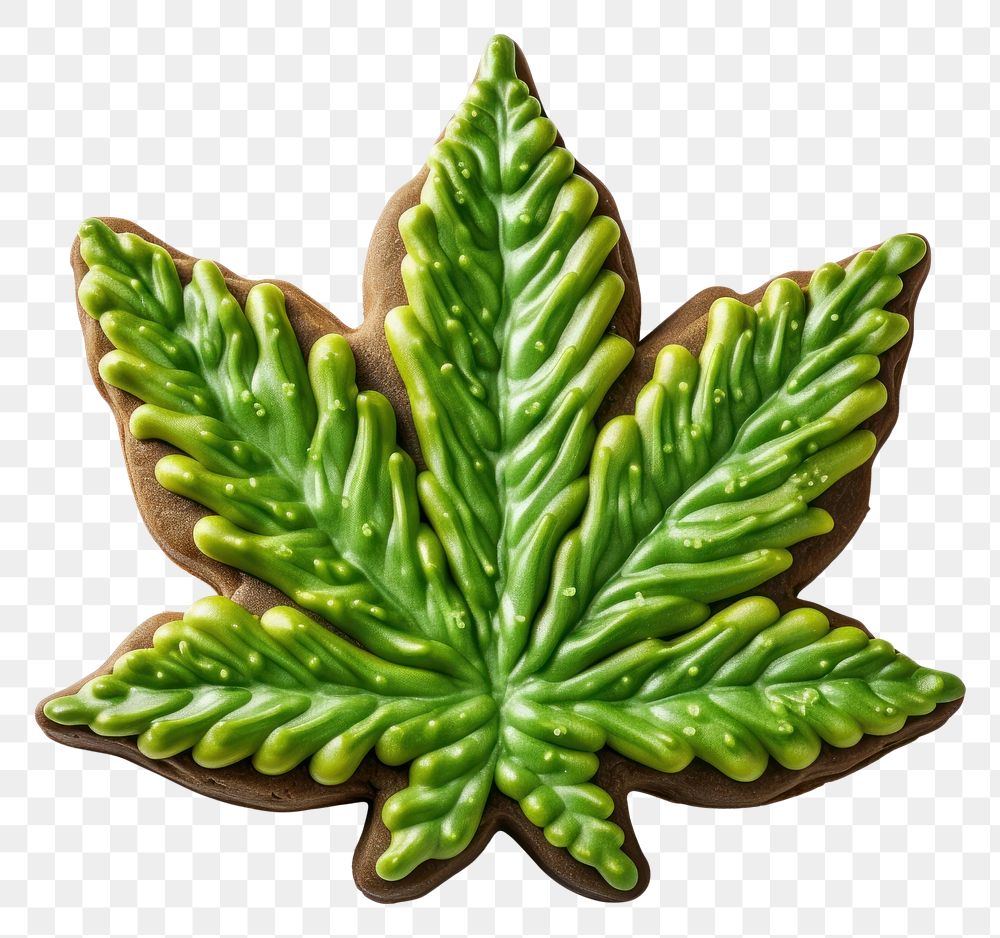 PNG Cannabis leaf cookie art plant tree food.