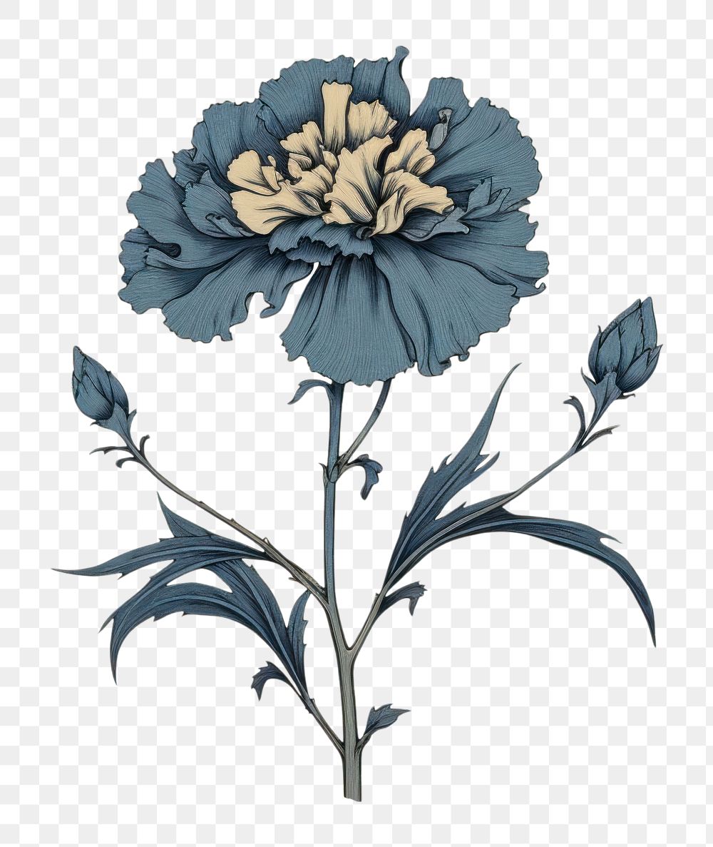 PNG Ukiyo-e art print style blue carnation pattern drawing flower.