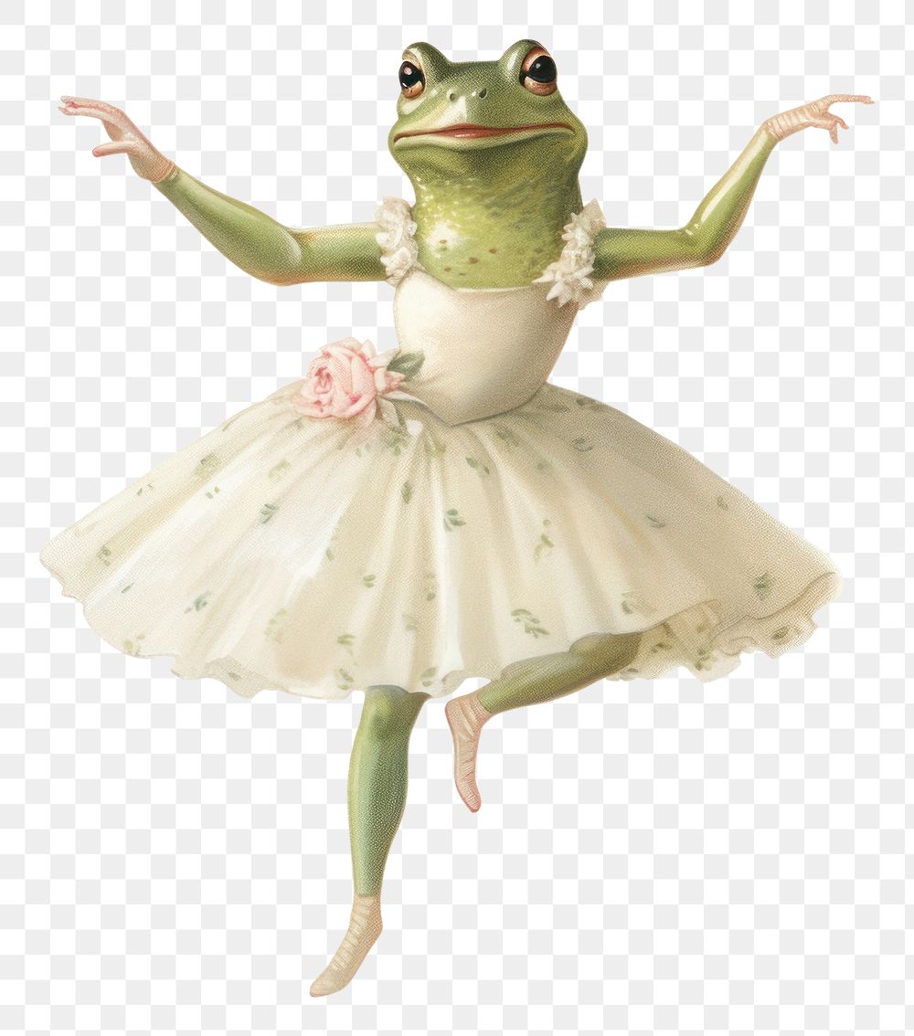 PNG Frog amphibian dancing animal.