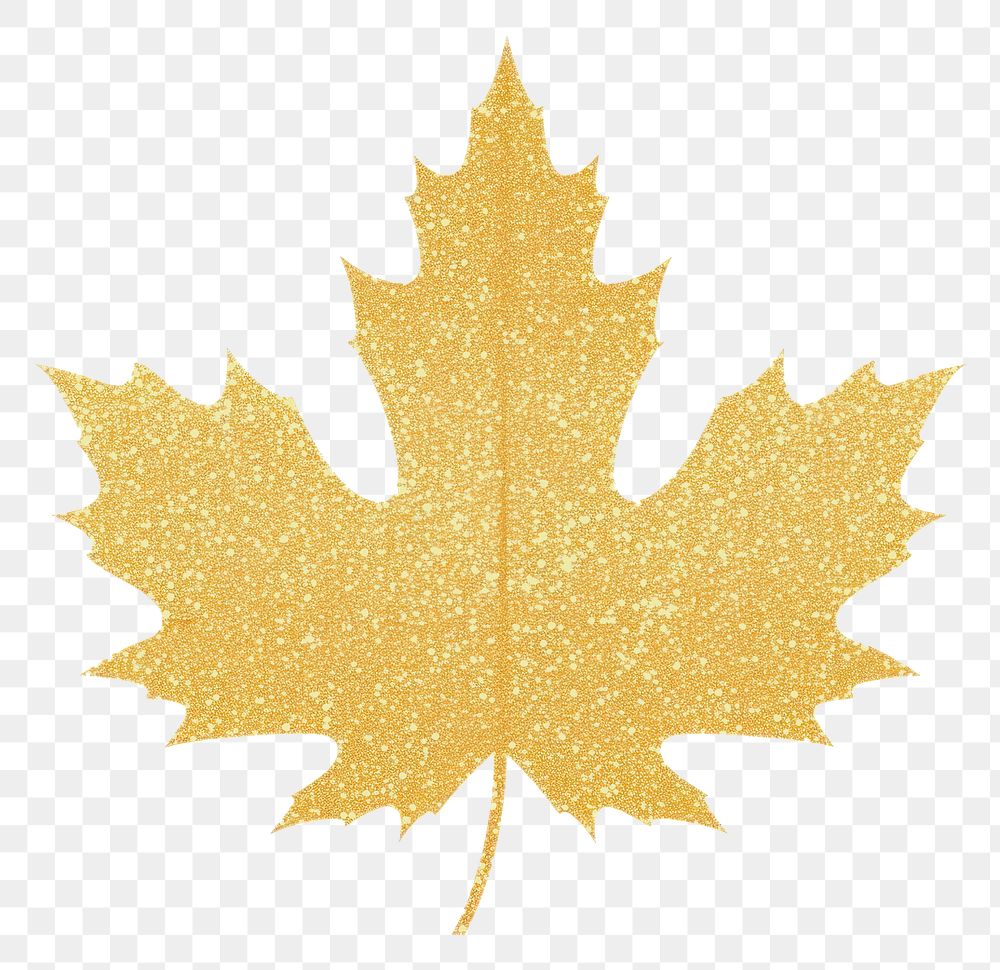PNG Maple leaf icon plant shape tree.