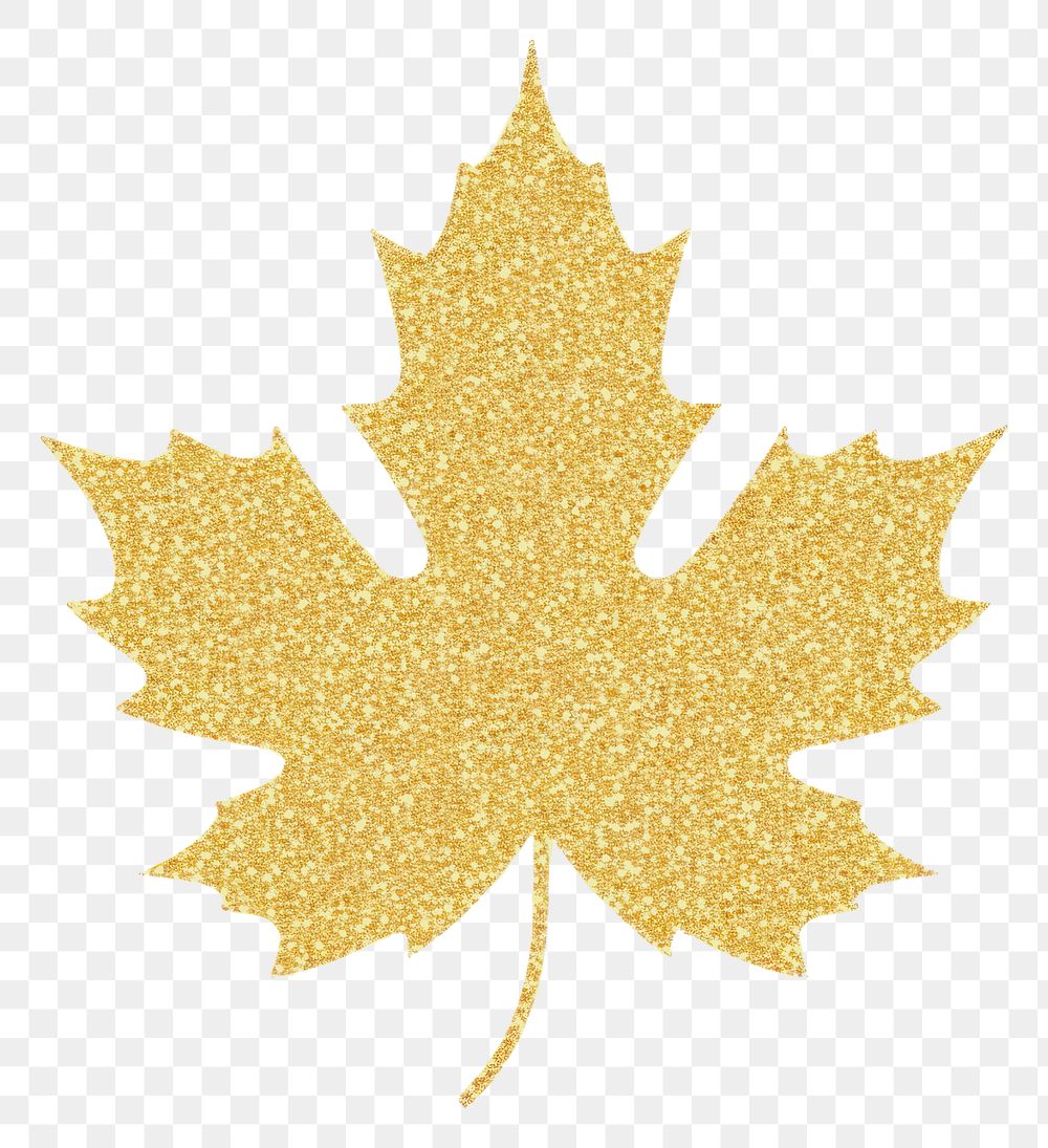 PNG Maple leaf icon plant tree gold.
