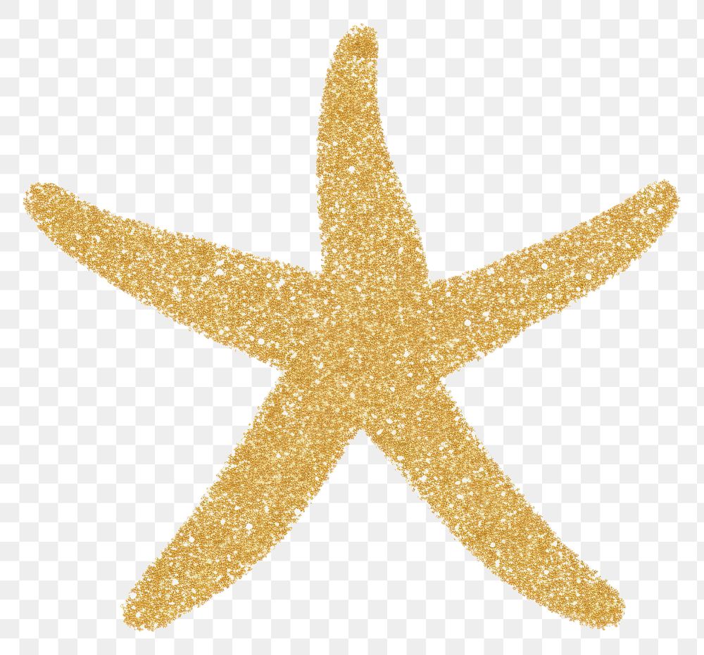 PNG Starfish icon shape gold white background.