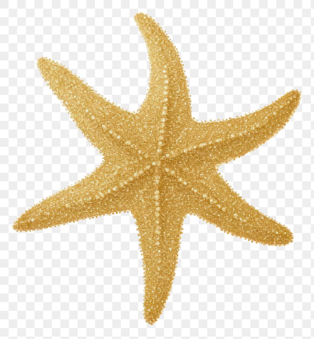PNG Starfish icon shape gold white background.
