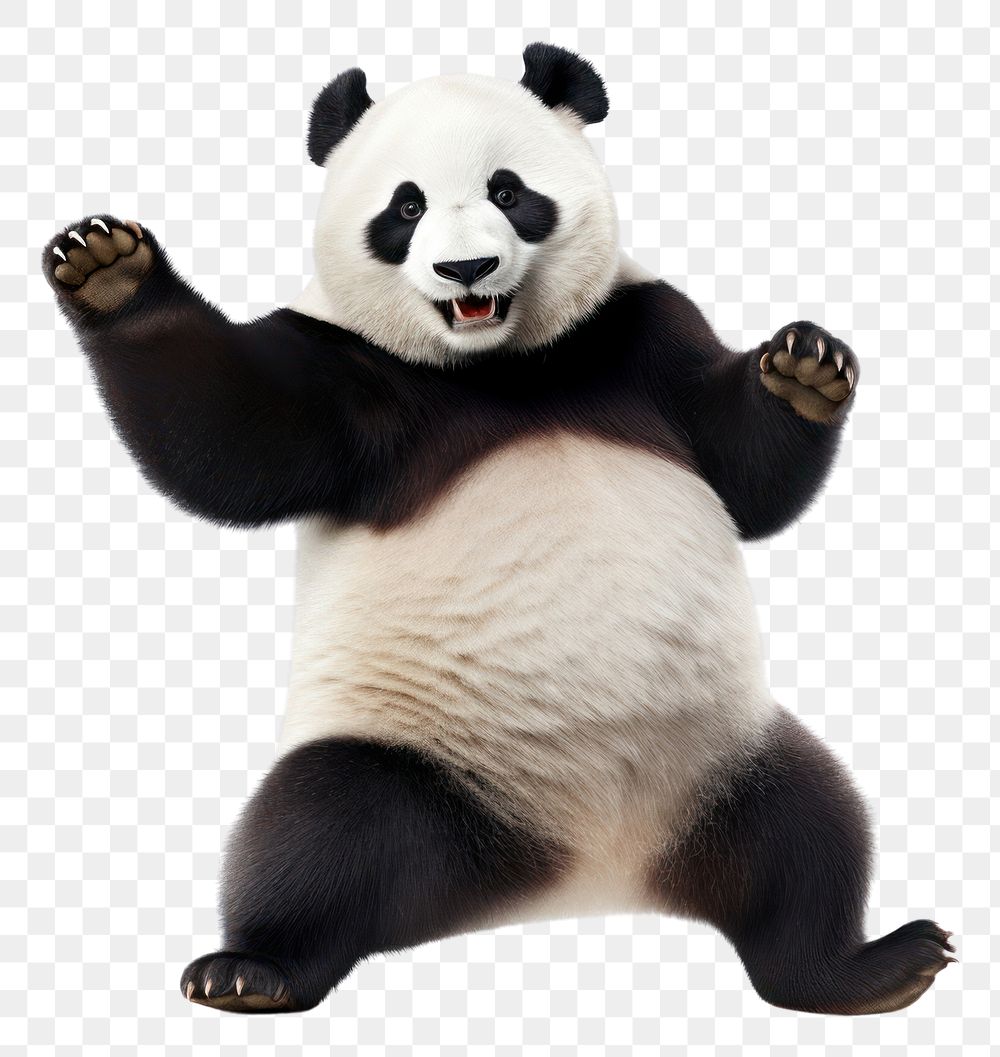 PNG Happy smiling panda dancing wildlife mammal animal.