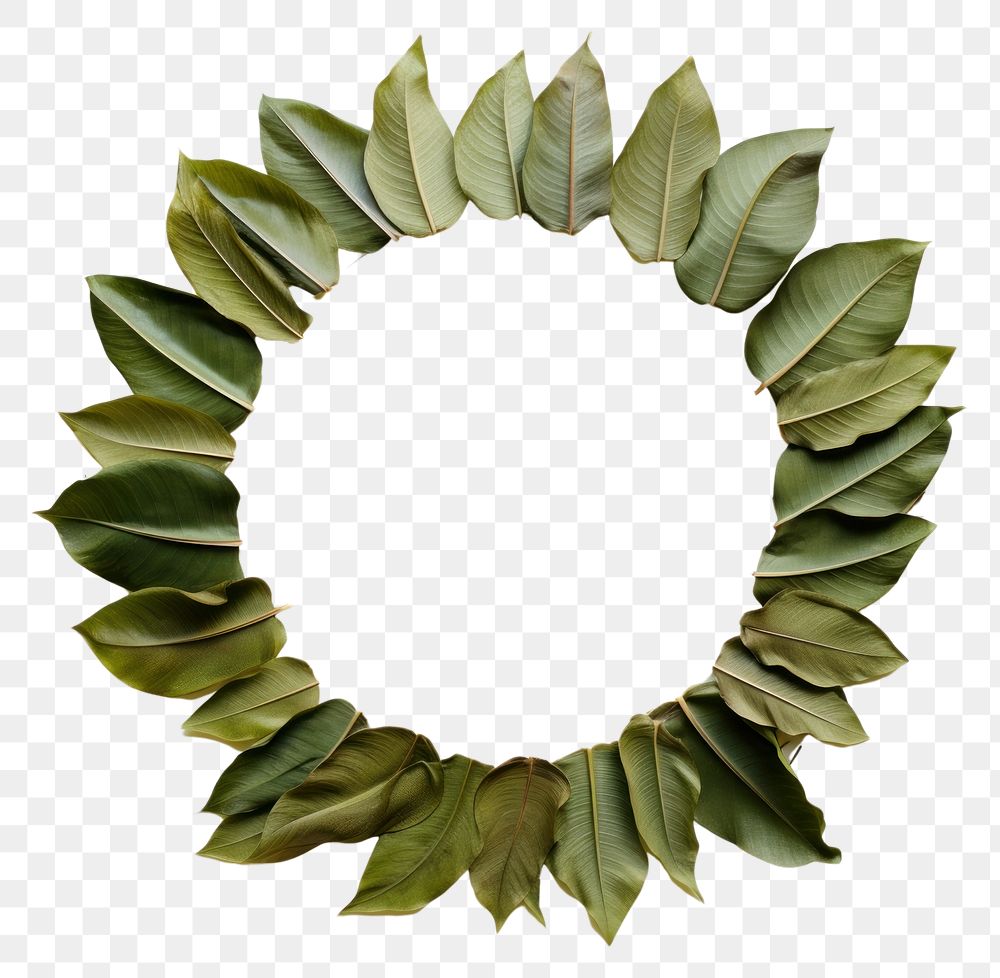 PNG Banana leaves circle wreath shape.