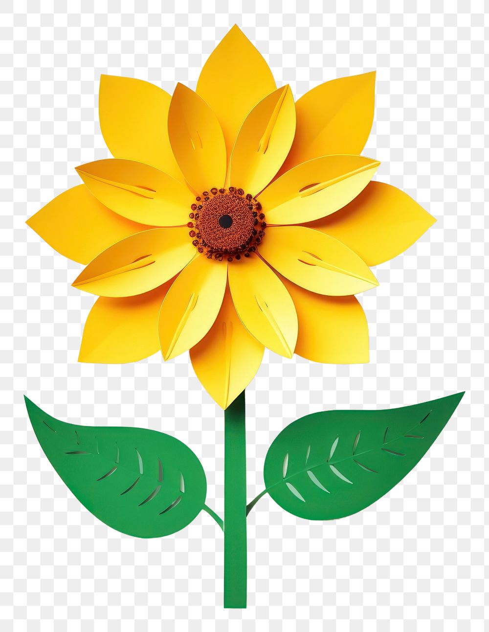 PNG Sunflower art petal plant.