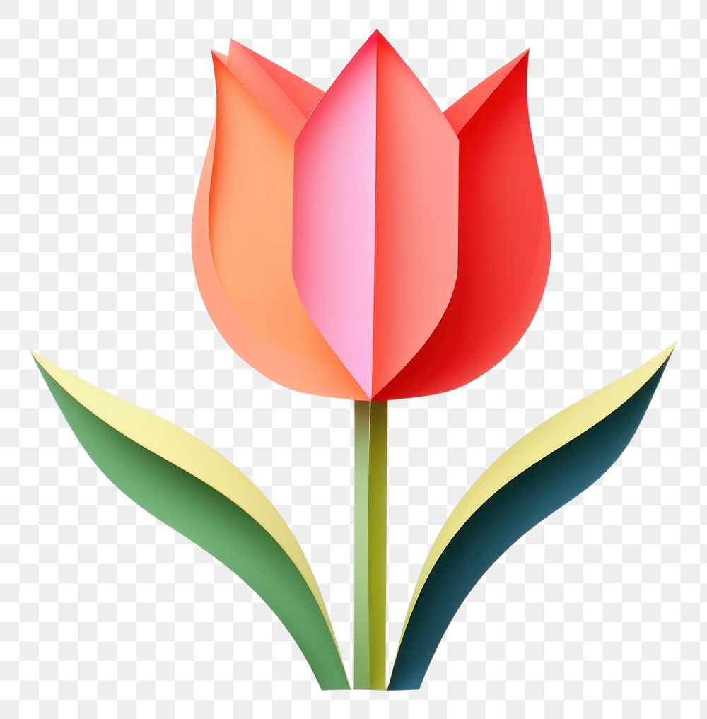 PNG Tulip tulip art flower.