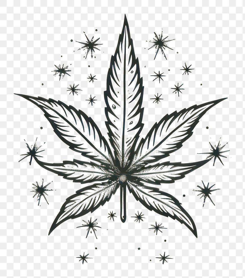 PNG Cannabis drawing cannabis pattern.