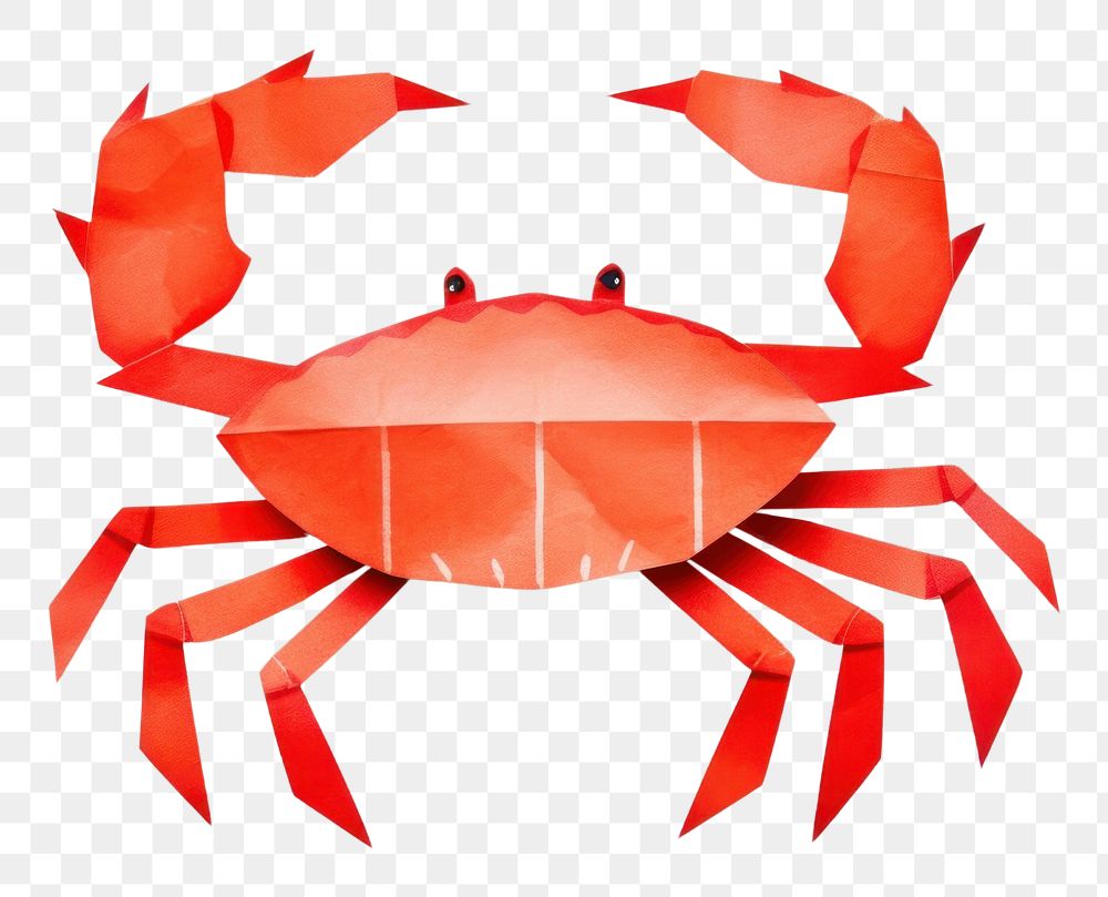 PNG Seafood animal crab invertebrate.