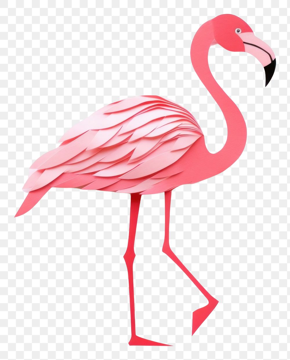 PNG Flamingo animal bird wildlife.