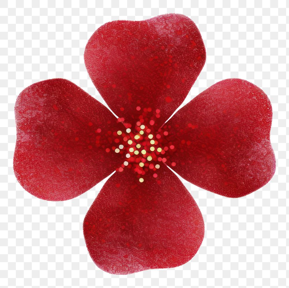 PNG Red flower icon shape petal plant.