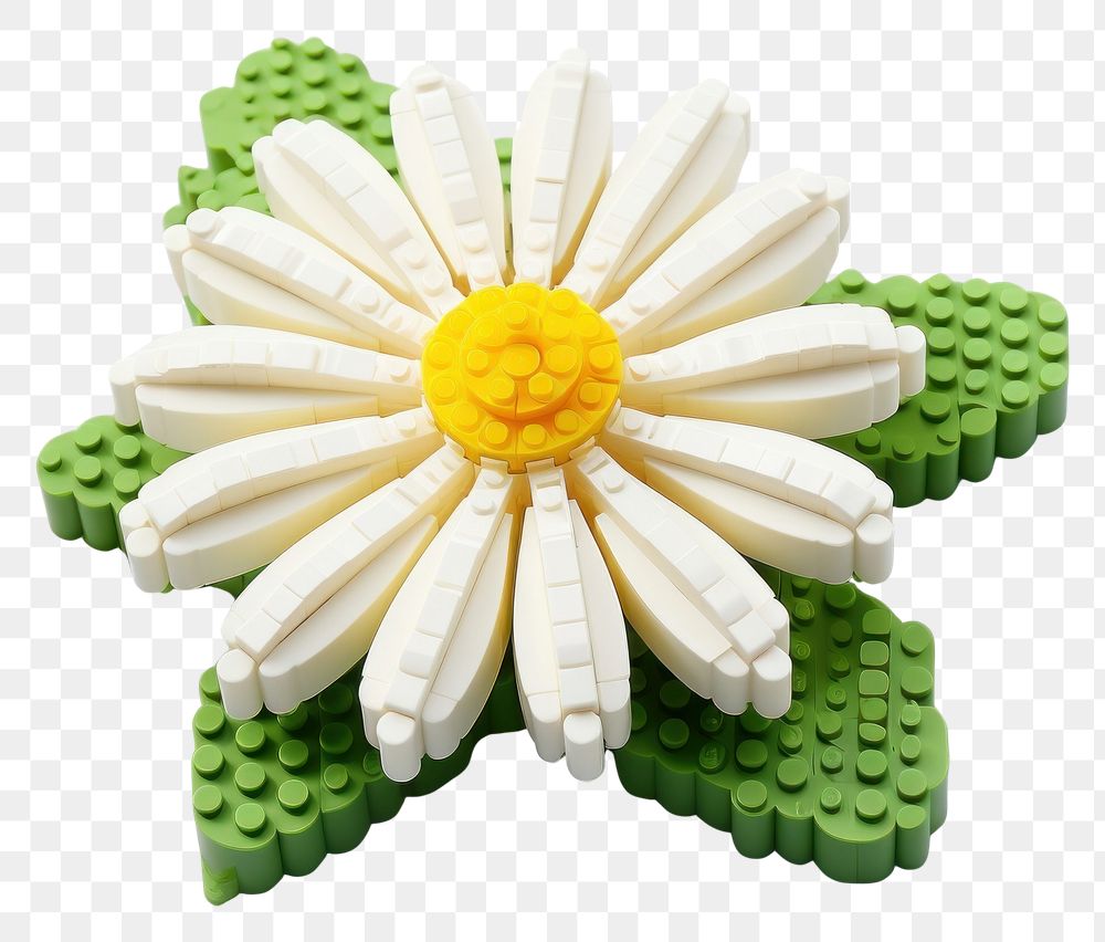 PNG Daisy bricks toy flower plant white background.