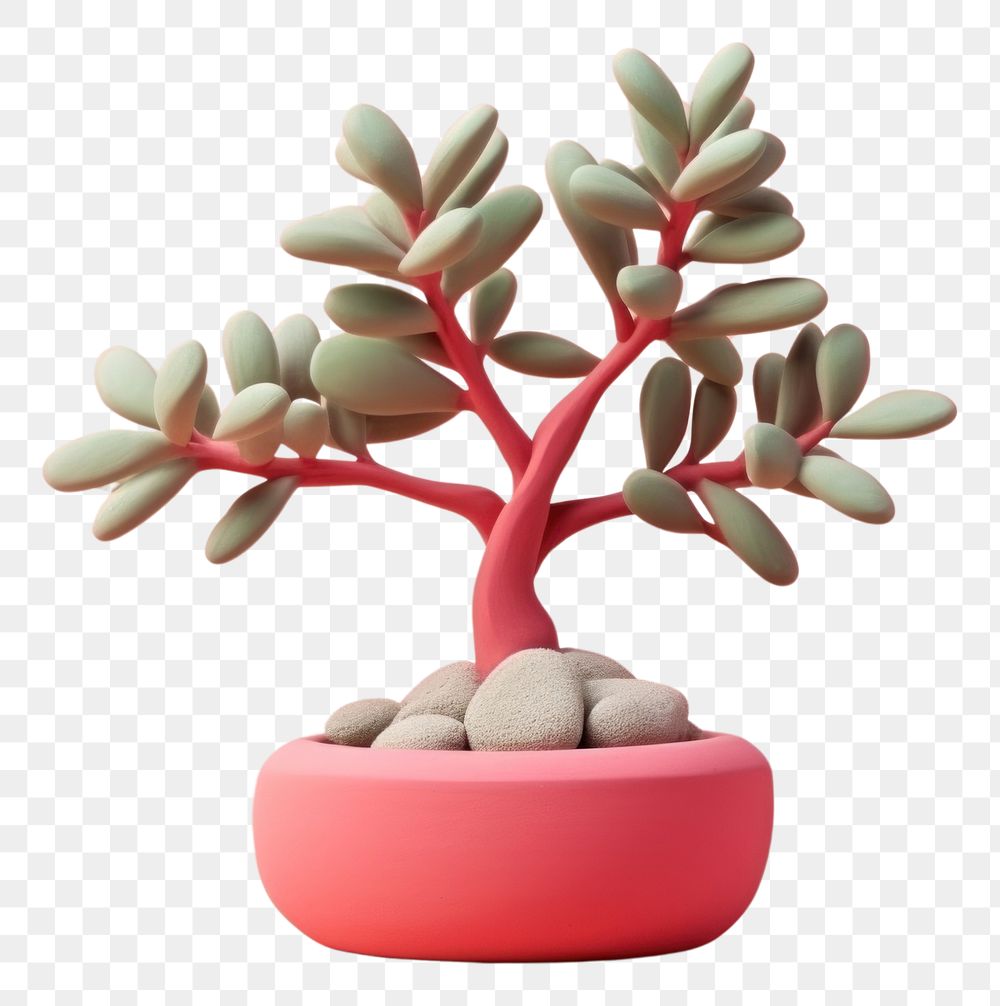 PNG Aromatherapy bonsai plant tree.