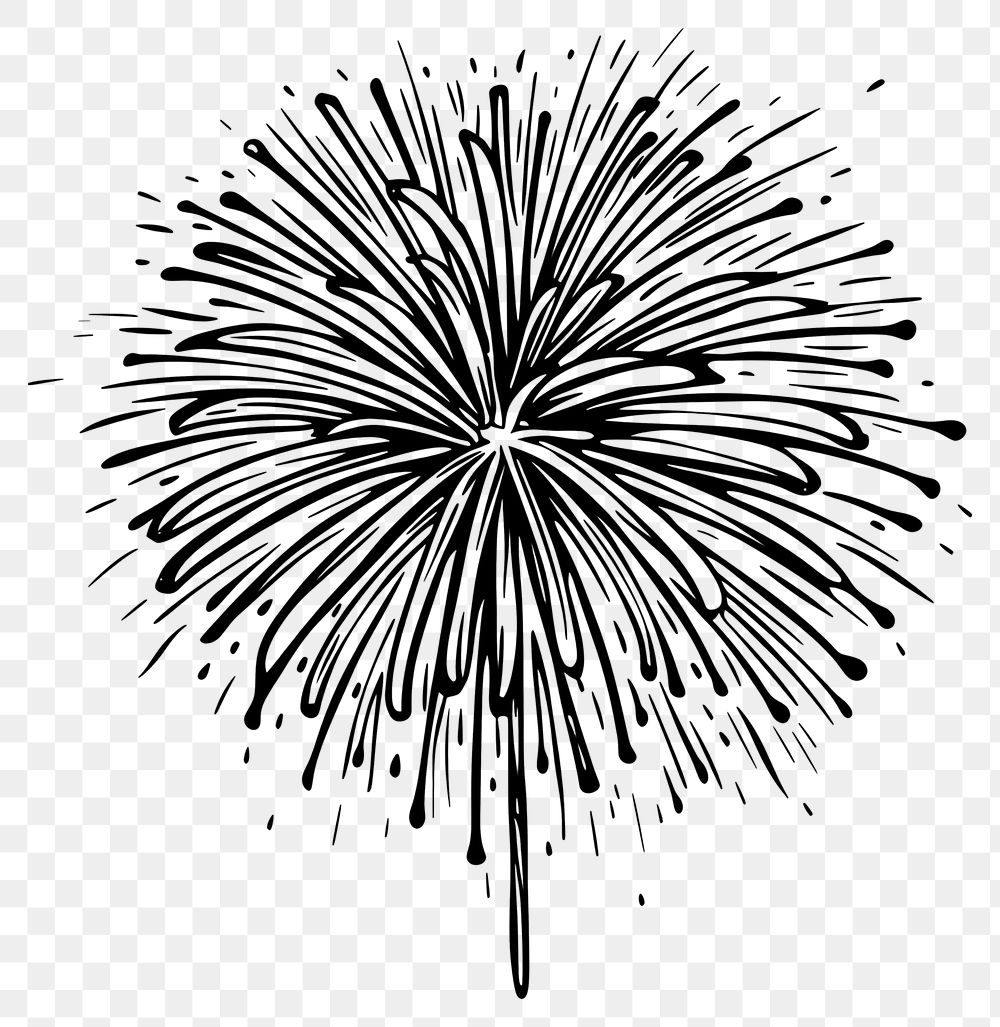 PNG Firework fireworks drawing sketch.