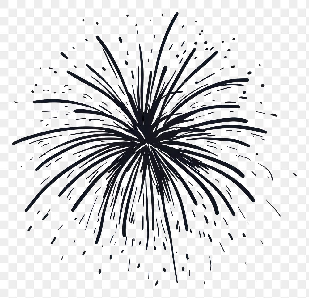 PNG Firework fireworks drawing sketch.
