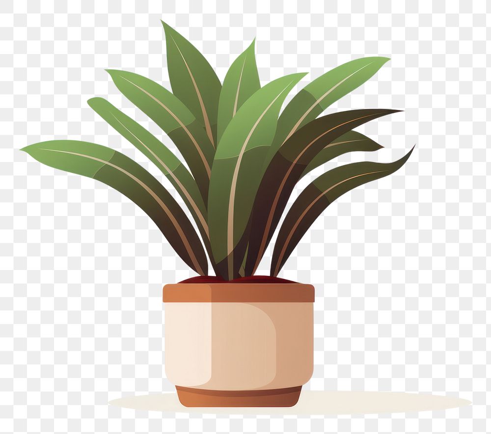 PNG Staghorn fern in a pot plant leaf white background.