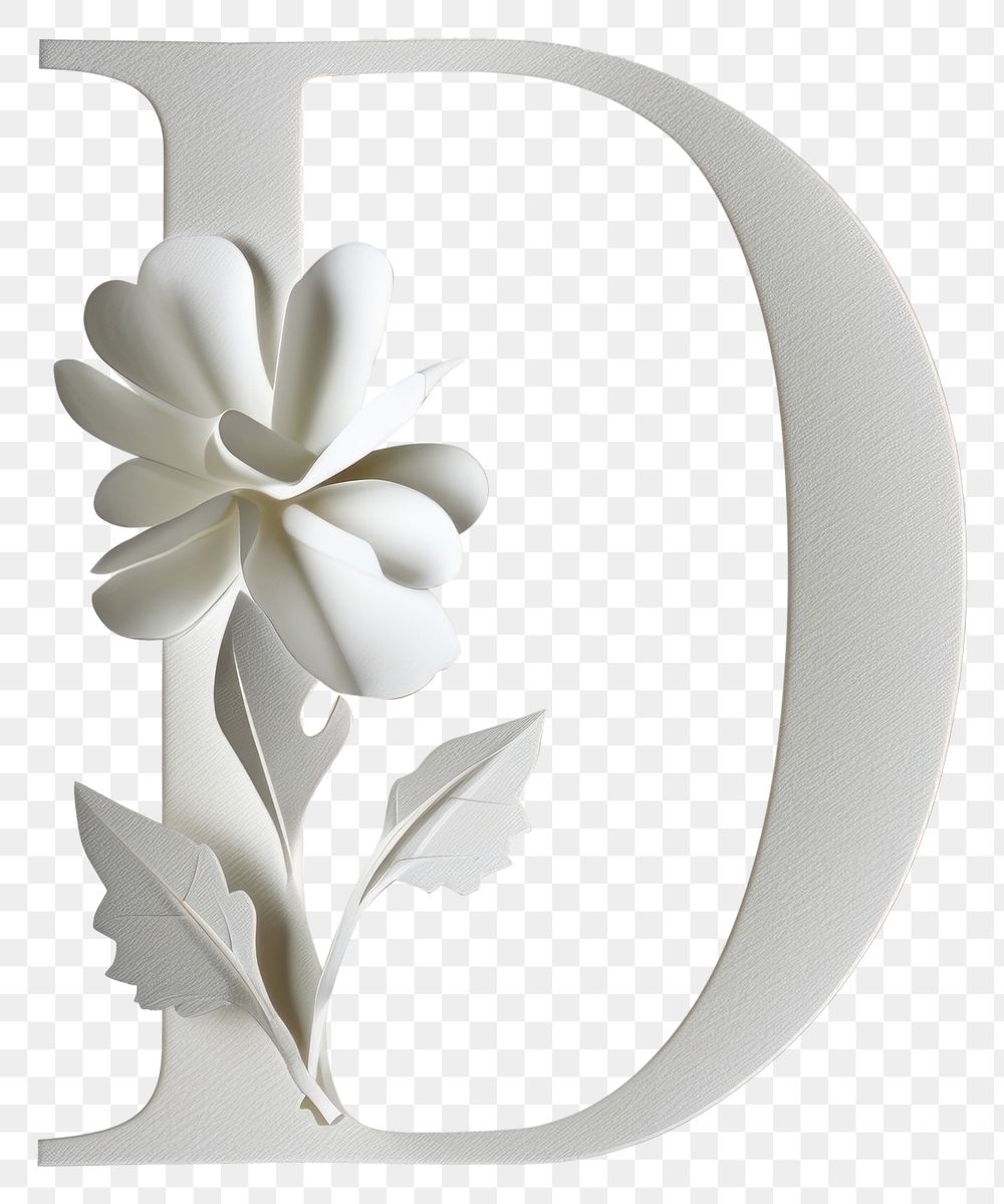 PNG Flower plant blossom white.