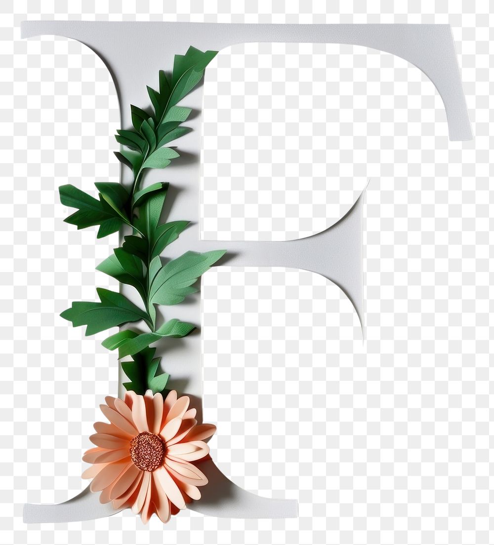 PNG Flower plant text blossom.
