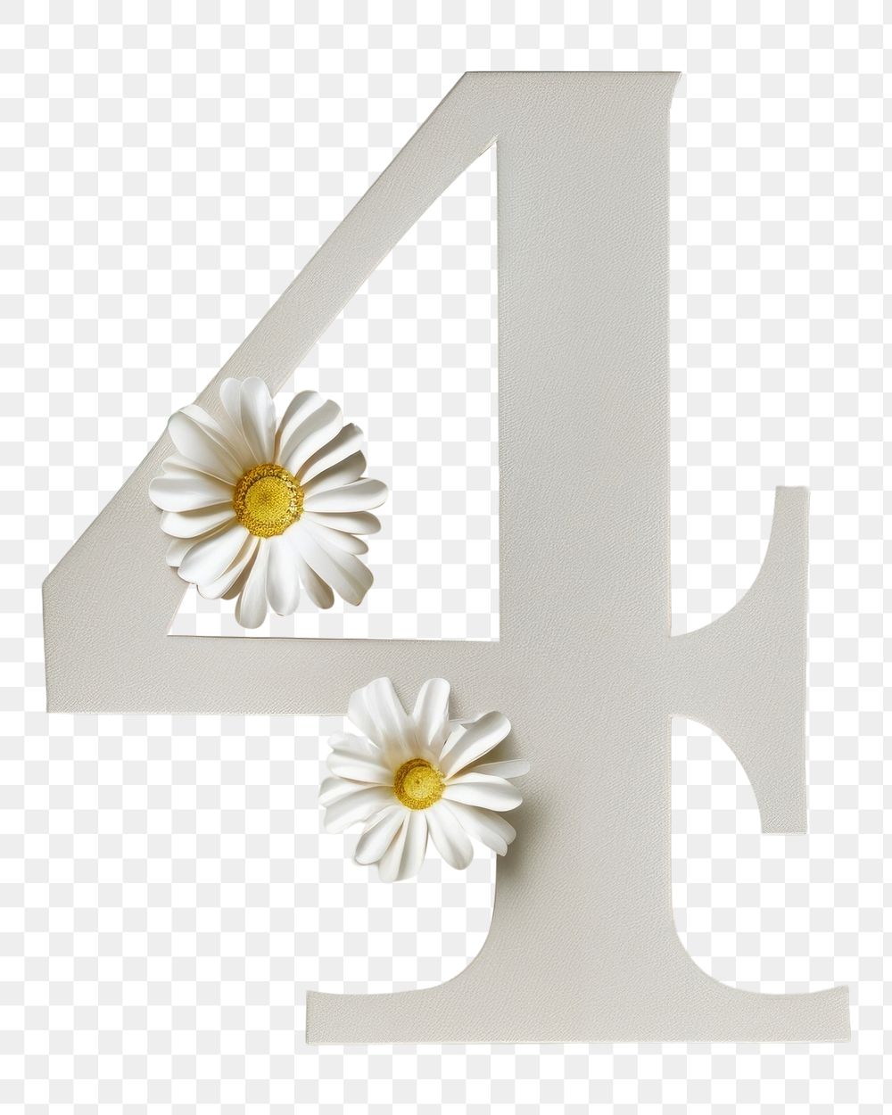PNG Flower symbol number plant.