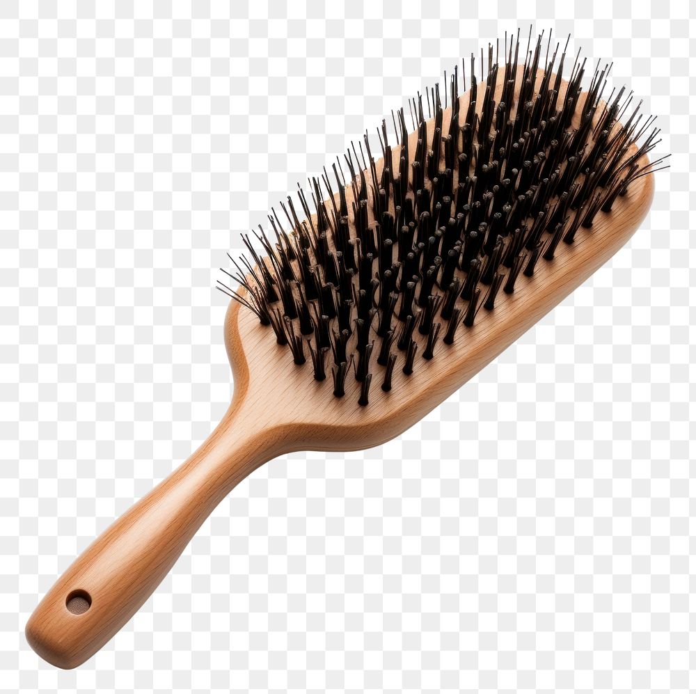 PNG Brush tool toothbrush hedgehog.