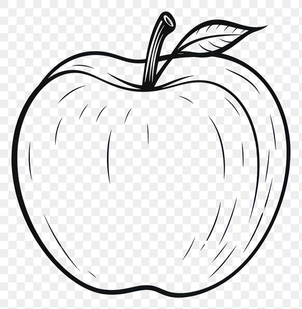 PNG Apple outline sketch drawing plant food.