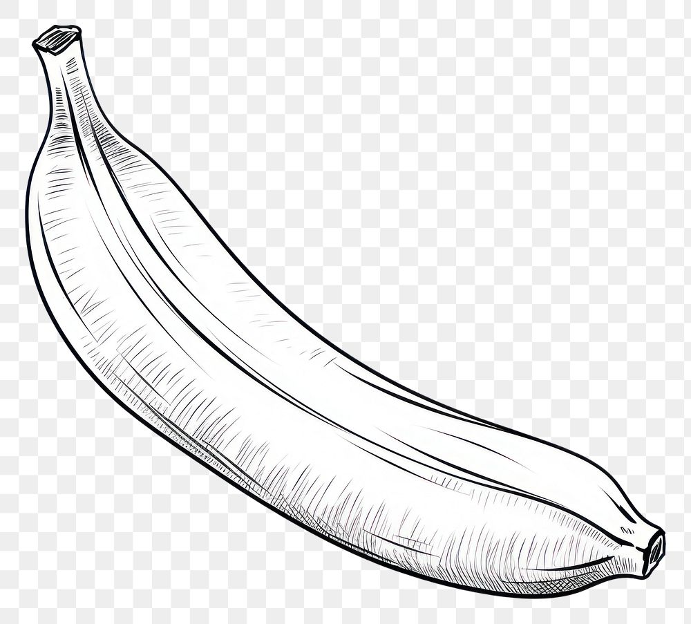 PNG Banana sketch food line.