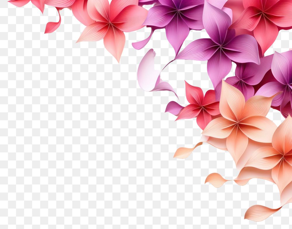 PNG Abstract flower flower floral border backgrounds pattern petal.